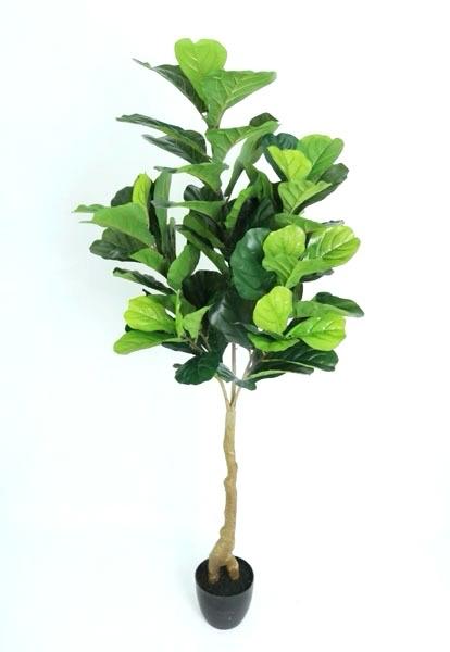ÁRBOL Fiddle