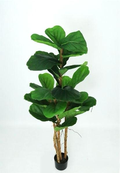 ÁRBOL Fiddle