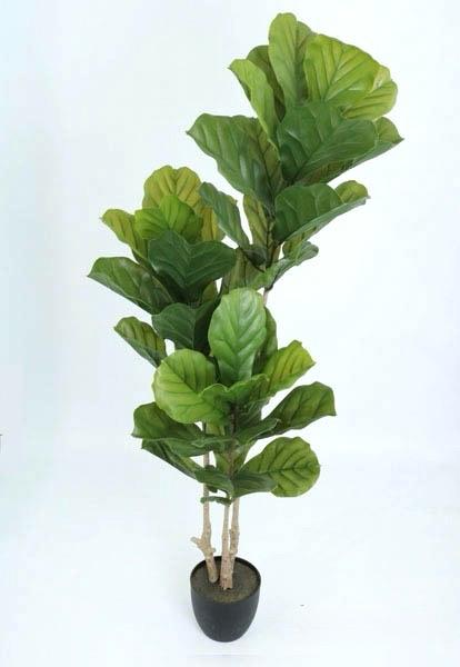 ÁRBOL Fiddle