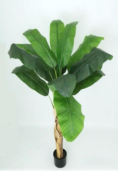 ÁRBOL Banana