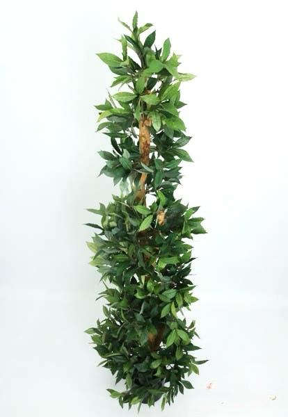 ÁRBOL Holland Bay Leaf Spiral