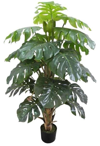ÁRBOL Split Philo